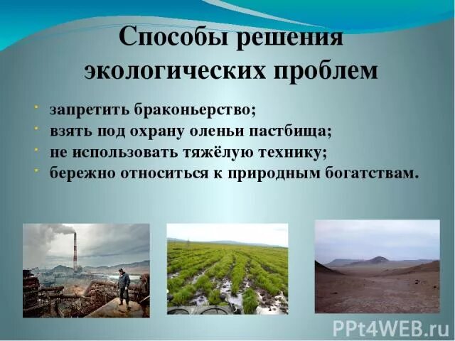 Основная причина экологических проблем в тайге. Пути решения экологических проблем. Пути решения экологических проблем тайги. Экологические проблемы и их решения в тайге. Экологические проблемы тайги в России.