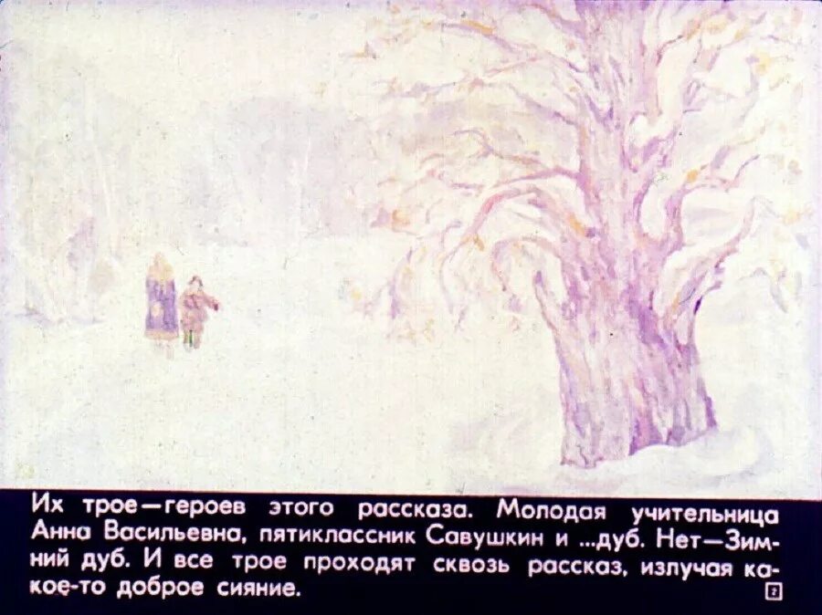 Какое впечатление произвел зимний дуб на учительницу. Какое впечатление произвел зимний дуб на учительницу. Ю нагибина зимний дуб. Ю нагибин зимний дуб. Какое впечатление произвел зимний дуб на учительницу.