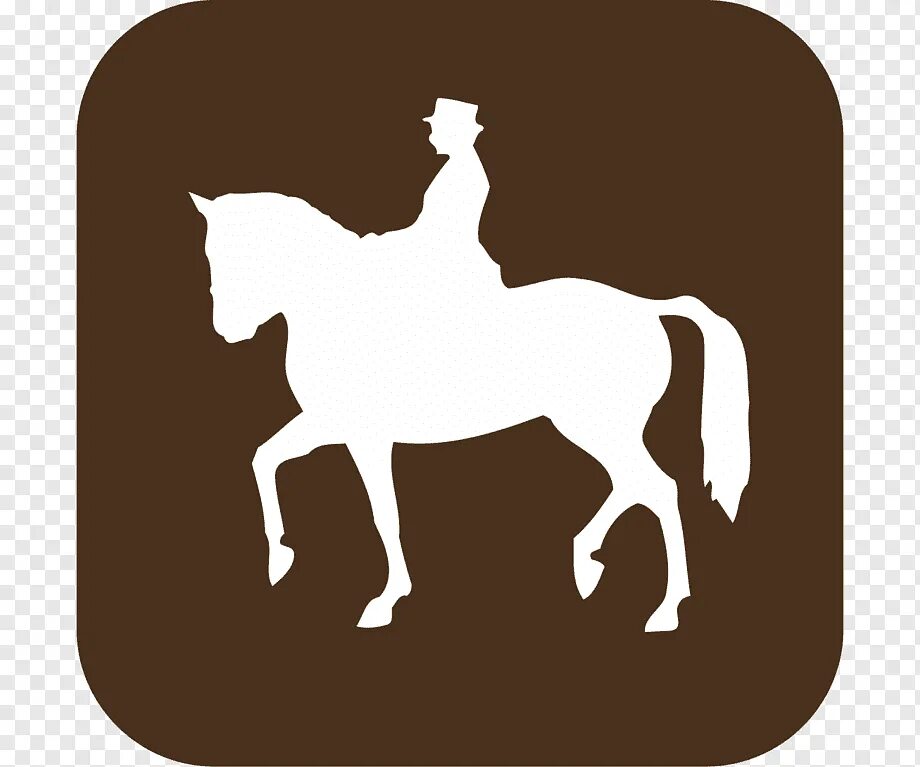 Конный логотип. Логотип лошадь. Эмблема конюшни. Конный спорт логотип. Знак конюшни