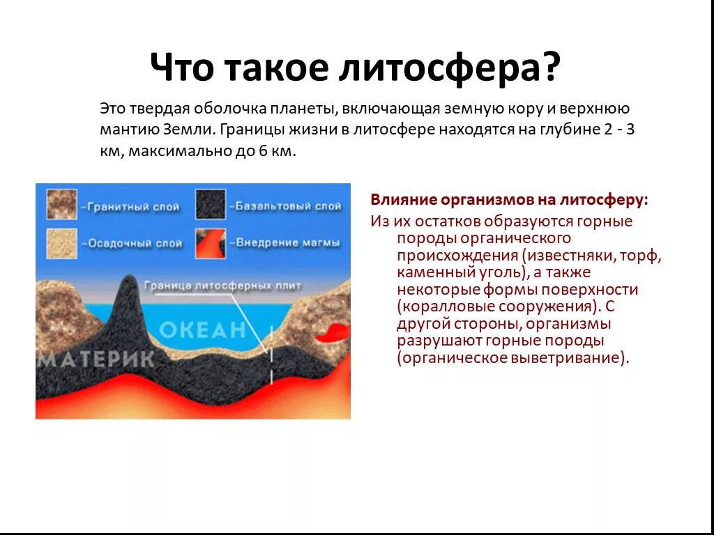 Влияние человека на литосферу. Воздействие живых организмов на литосферу. Презентация литосфера и человек. Влияние человека налитесферу. В чем заключается влияние организмов на литосферу