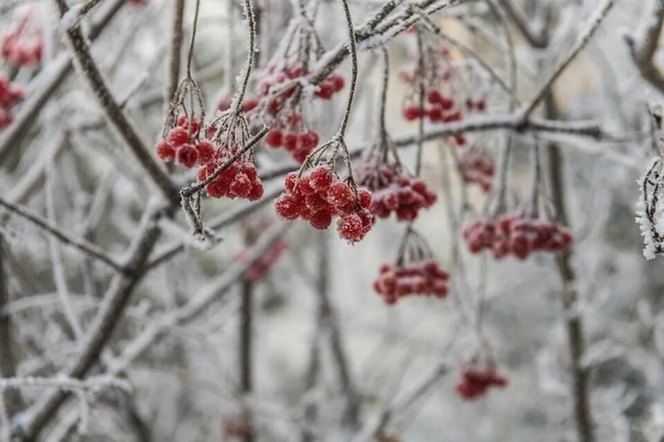 Красивая зима. Па декабрь. Зима январь. Па декабрь. Красивая снежная зима.