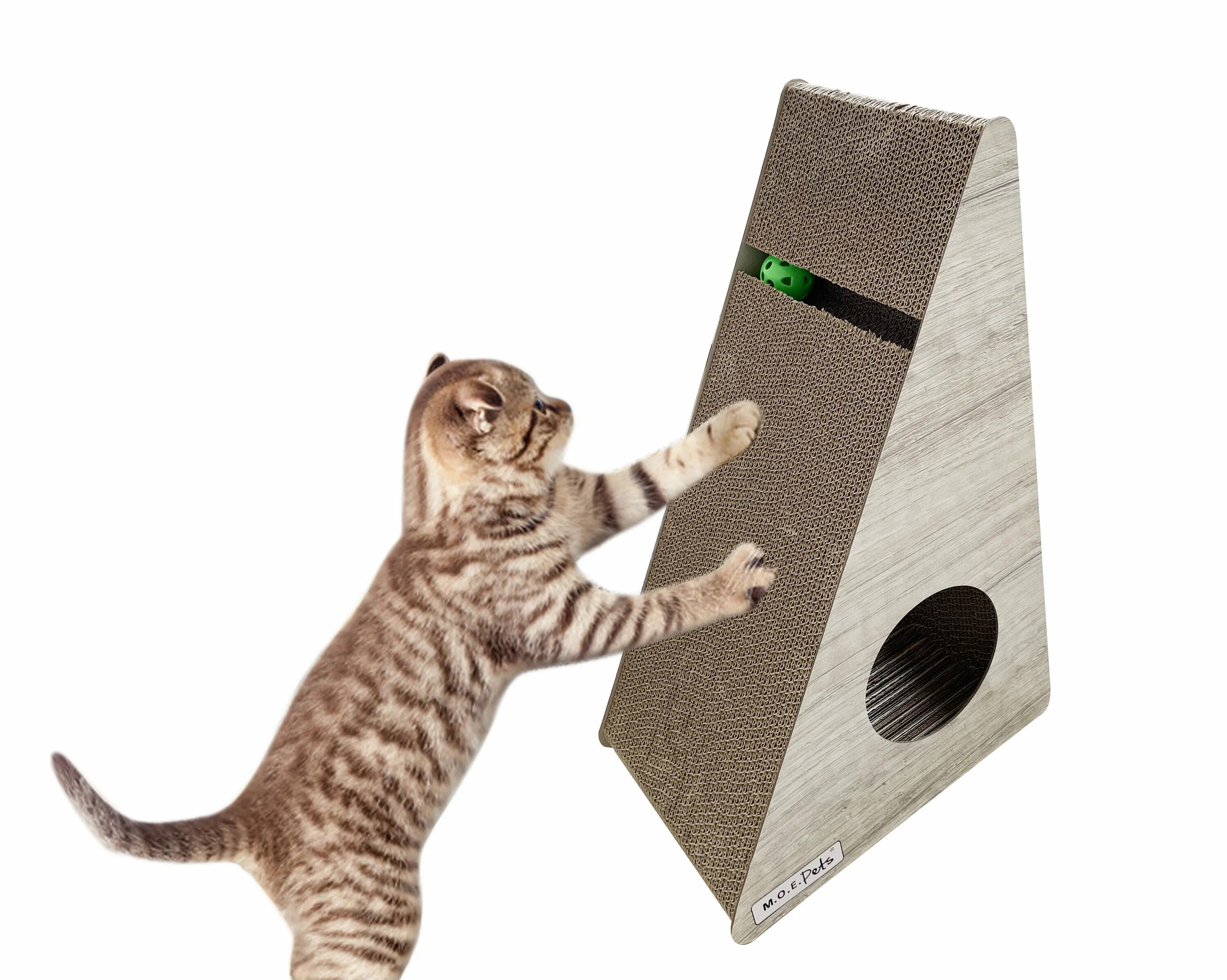 Cat scratcher. Scratch Jr Cat. Felicette Balloon Modeling Series Cat Scratcher. Back Scratcher.