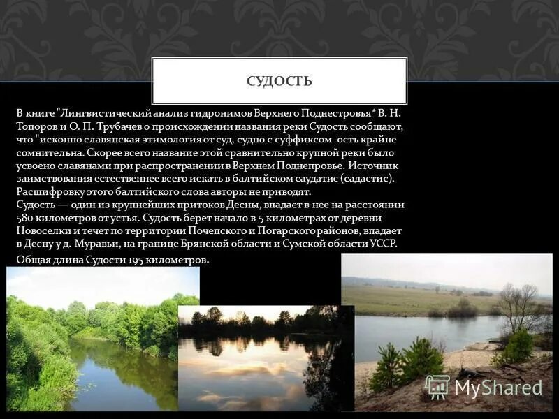 реки брянска и брянской области. какое течение у реки десна. река снежеть приток десны реки. реки курской области 4 класс сейм. десна и ее притоки.