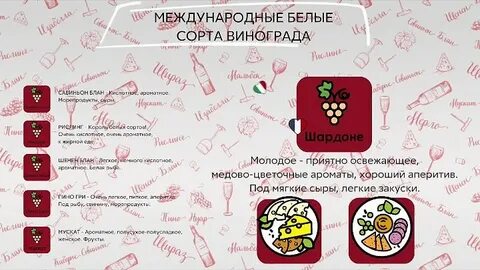 Академия бристоль