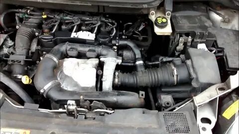 C max 1.6 tdci