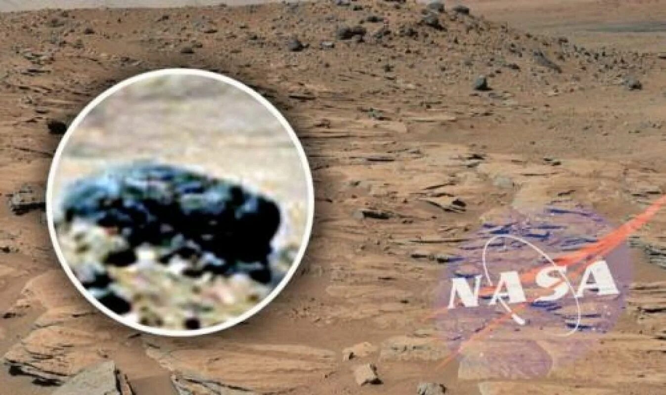 Правда ли что будет 24 апреля. Марс Планета жизнь. Снимки Марса Скотт Уоринг. Снимки НАСА С Марса. На Марсе есть живые существа.
