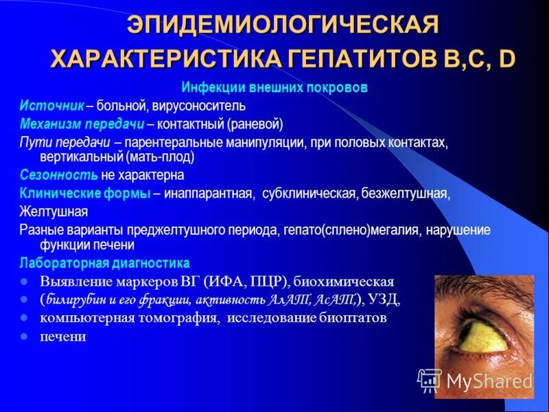 Гепатит с механизм и путь передачи. Вирусный гепатит в механизм и пути передачи. Механизм заражения при вирусном гепатите а. Вирусный гепатит б механизм передачи.