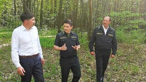 511 автобус лесничество