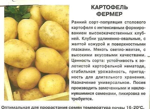 Какой сорт ранних