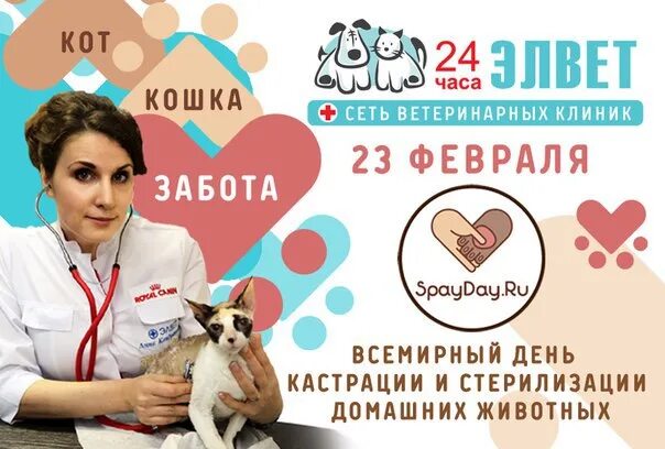 Акция на кастрацию и стерилизацию. Всемирный день стерилизации домашних животных. Всемирный день кастрации и стерилизации животных. Всемирный день кастрации. Всемирный день кастрации.