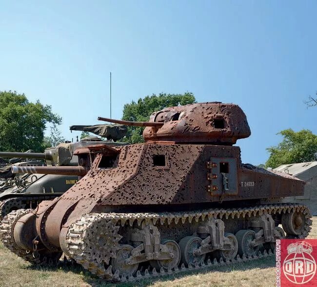 Дикий папуасский танк фото