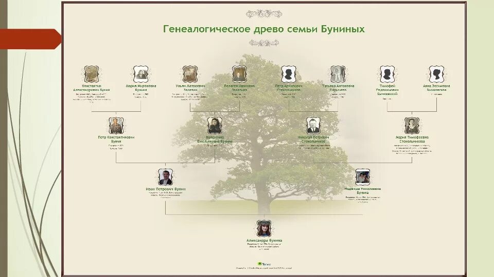 Родословная по фамилии