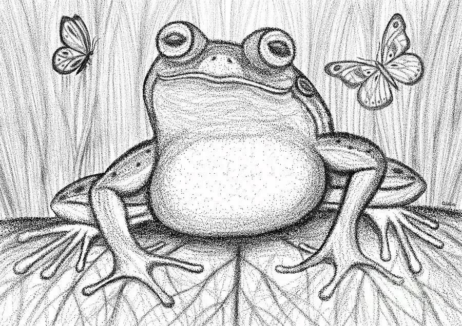 Лягушки мультяшные. Лягушка набросок. Красивые лягушки для срисовки. Красивые лягушки для срисовки. Гастон лягушка.
