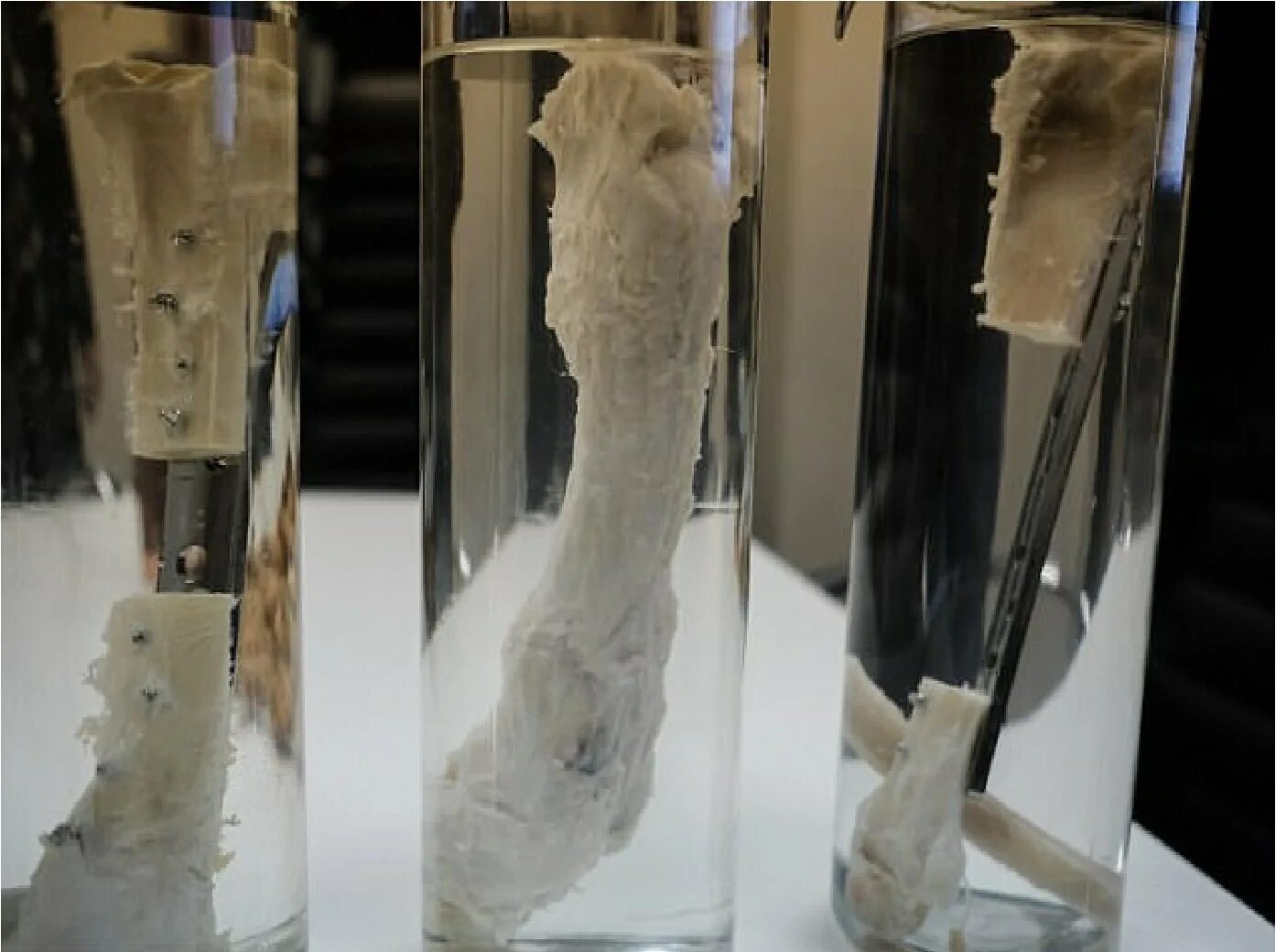 Можно ли создать искусственную. Роботы в будущем. Составные части робота. Разработка искусственного интеллекта. Искусственная кость.