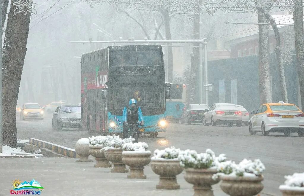Душанбе климат. Зима Душанбе 2023 год. Погода в Душанбе сегодня. Снегопад в Таджикистане 11.01.2023.