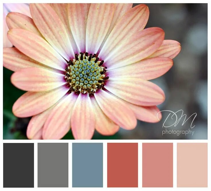 Possible colors