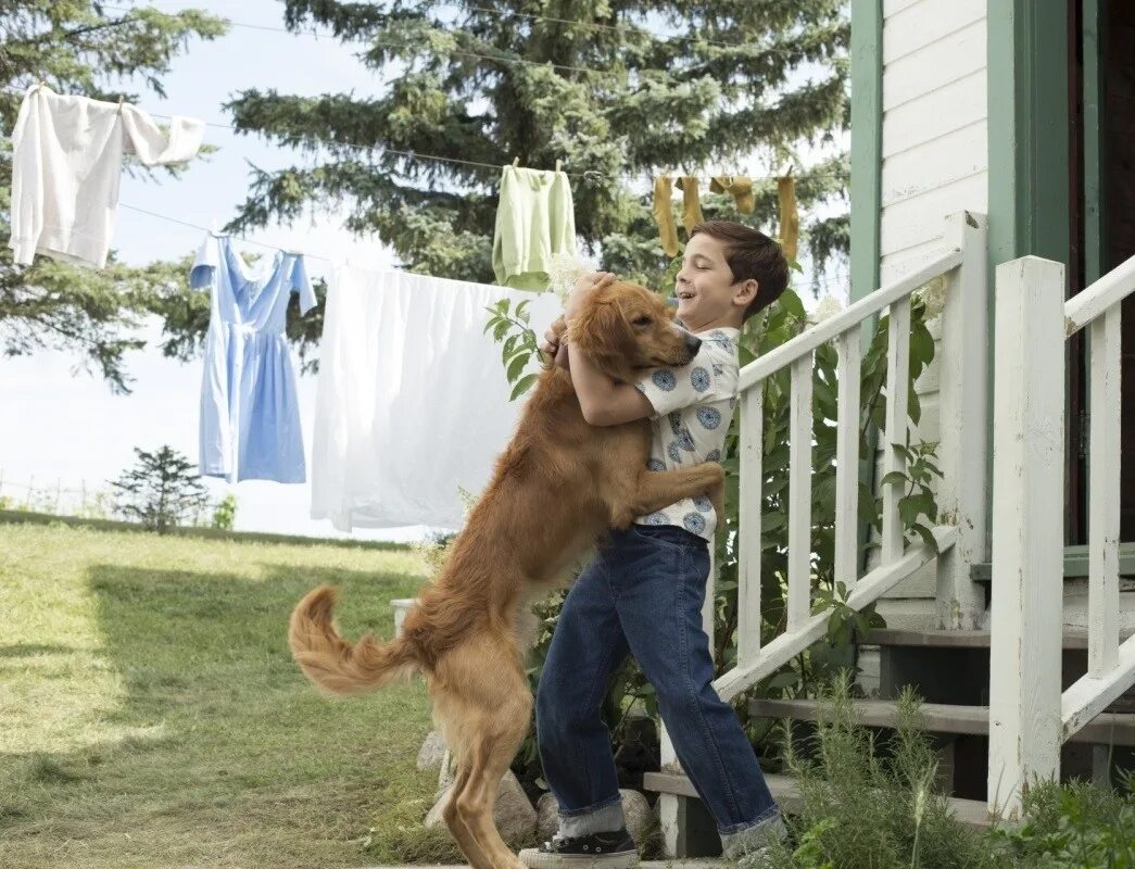 Собачья жизнь 2 итан. Кэтрин прескотт собачья жизнь 2. Собачья жизнь 2017. Собачья жизнь 2 (2019). Собачья 1 2 жизнь.