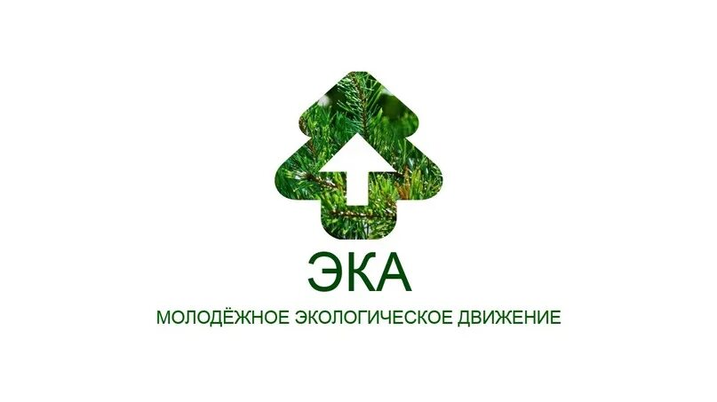 Зеленое движение эка. Эка н. Эка н. Движение эка. Эка н.