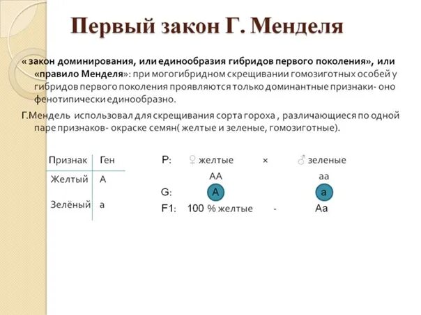 Задачи менделя биология