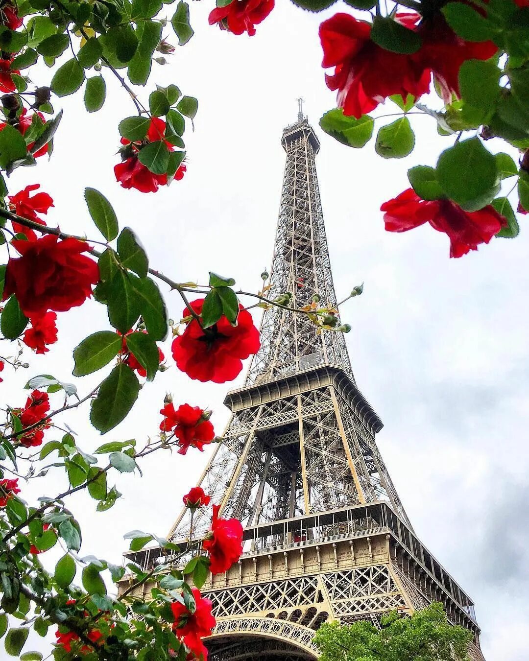 Эфельная башня. Эйфелева башня в париже. эйфелева башня frenchparis. париж эльфивая башня цветы. лондон эльфивая башня.