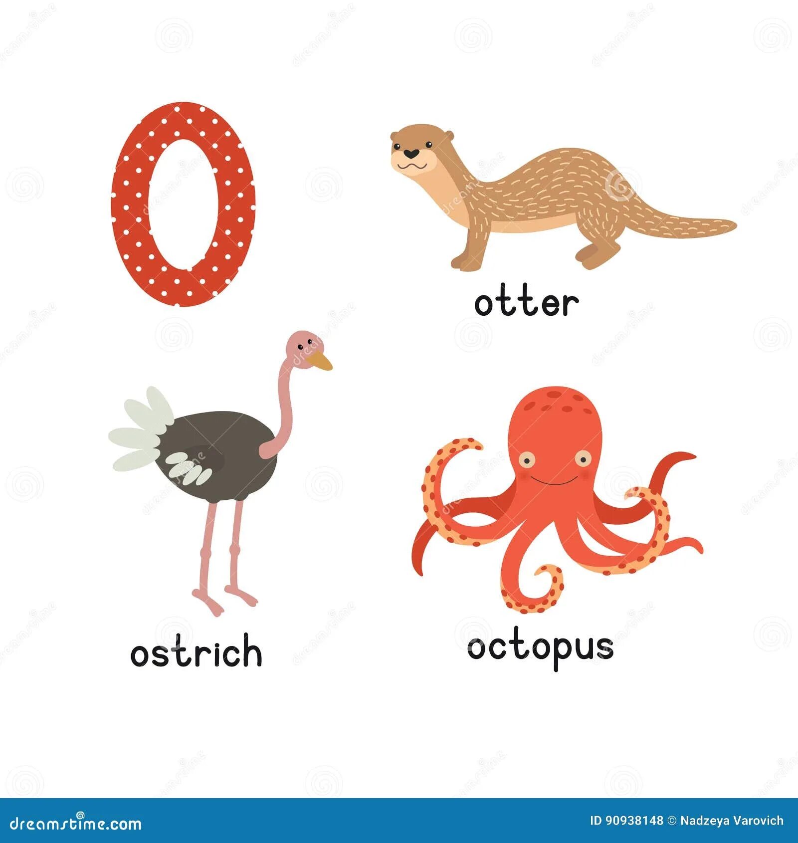 Letter o Ostrich. Octopus Ostrich. Животное на букву o на английском осьминог.
