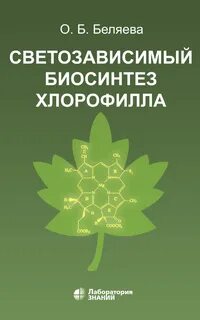 Синтез хлорофилла в растениях