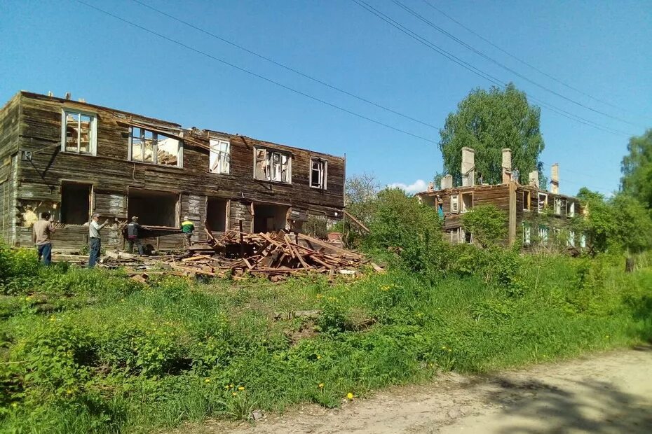 Работа п лесной