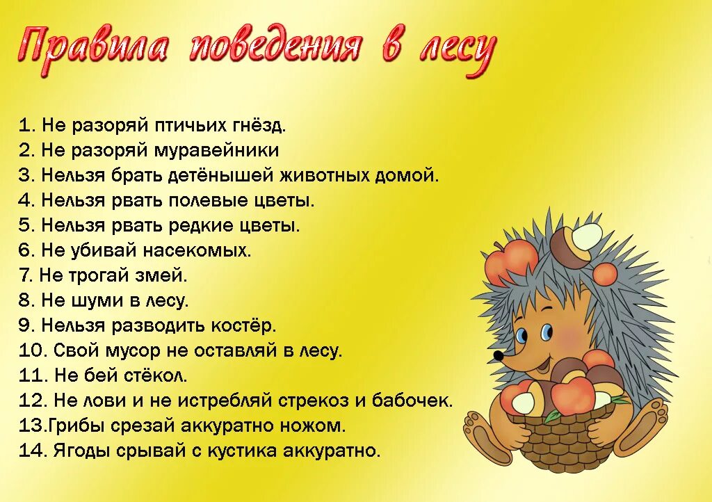Памятка о правилах поведения в лесу. Памятка в лесу 2 класс окружающий мир. Правила поведения в лесу. Памятка в лесу 2 класс окружающий мир. Правило поведения в лесу окружающий мир 2 класс.
