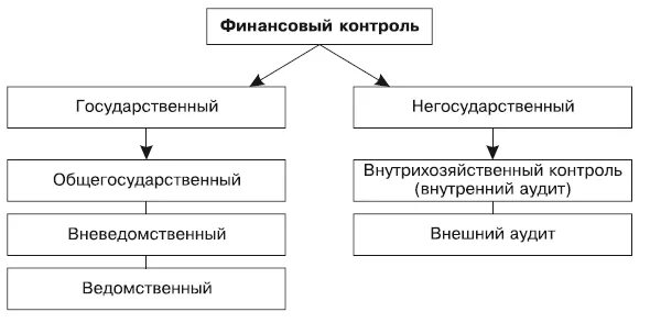 Виды финансового контроля государственный и негосударственный. Виды негосударственного финансового контроля. Субъекты негосударственного финансового контроля. Формы финансового контроля различия.