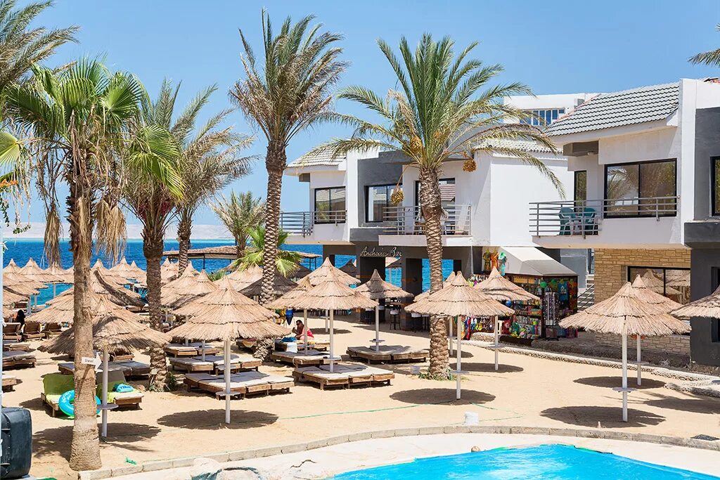 Отель Сигал Хургада. Сигал Египет Хургада. Seagull Beach Resort 4 Египет. Сигал Бич Резорт 4 Хургада.