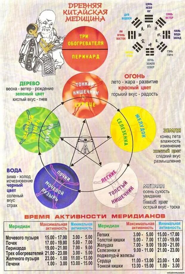 Связь органов человека. Круг у-син 5 элементов. Китайская система оздоровления у-син у син. У-син теория 5 первоэлементов. Теория Усин 5 стихий.