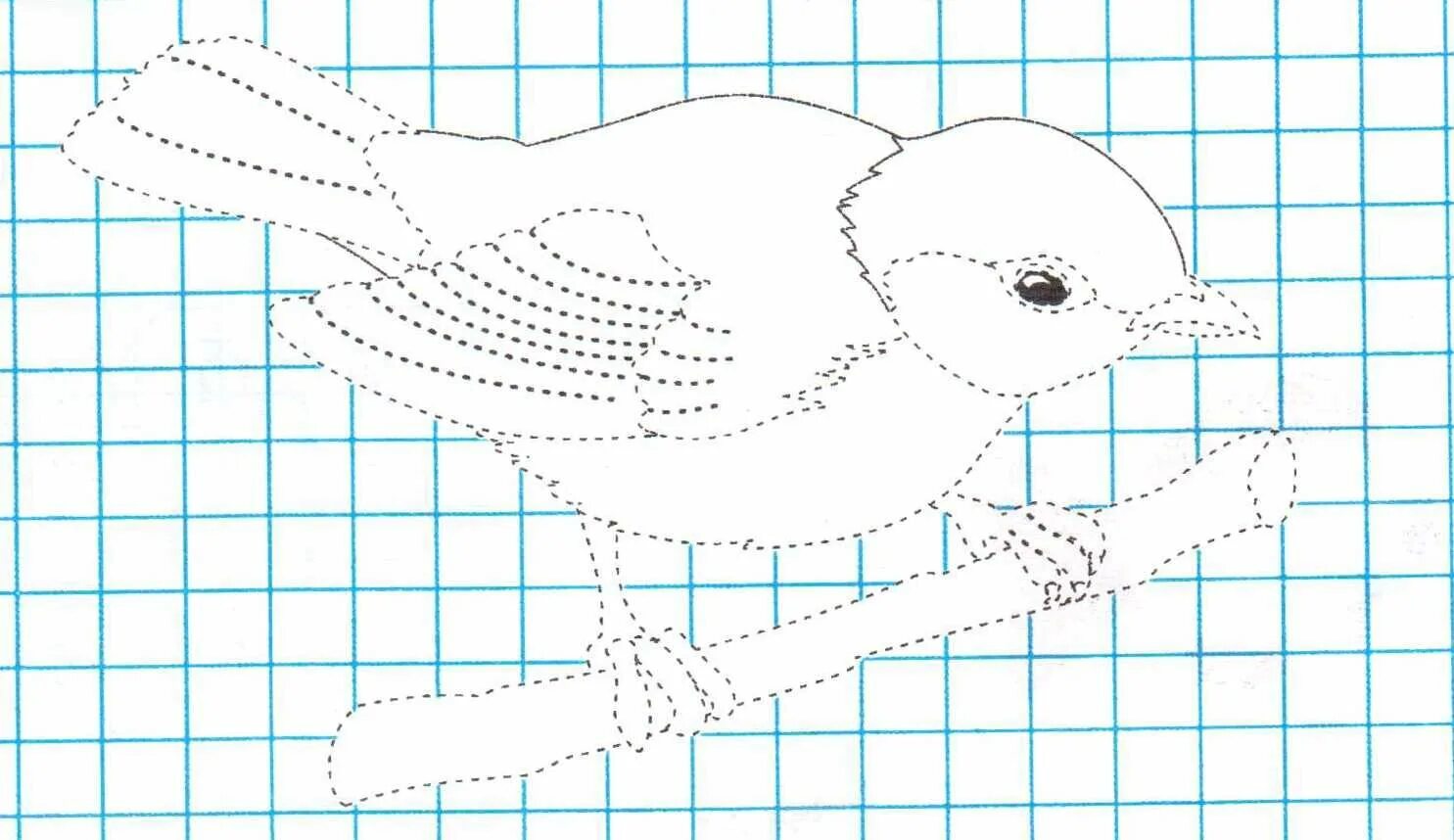 Птицы обводка для детей. Птица по точкам. Птицы по точкам для детей. Шаблон птички для аппликации. Птица обведи.