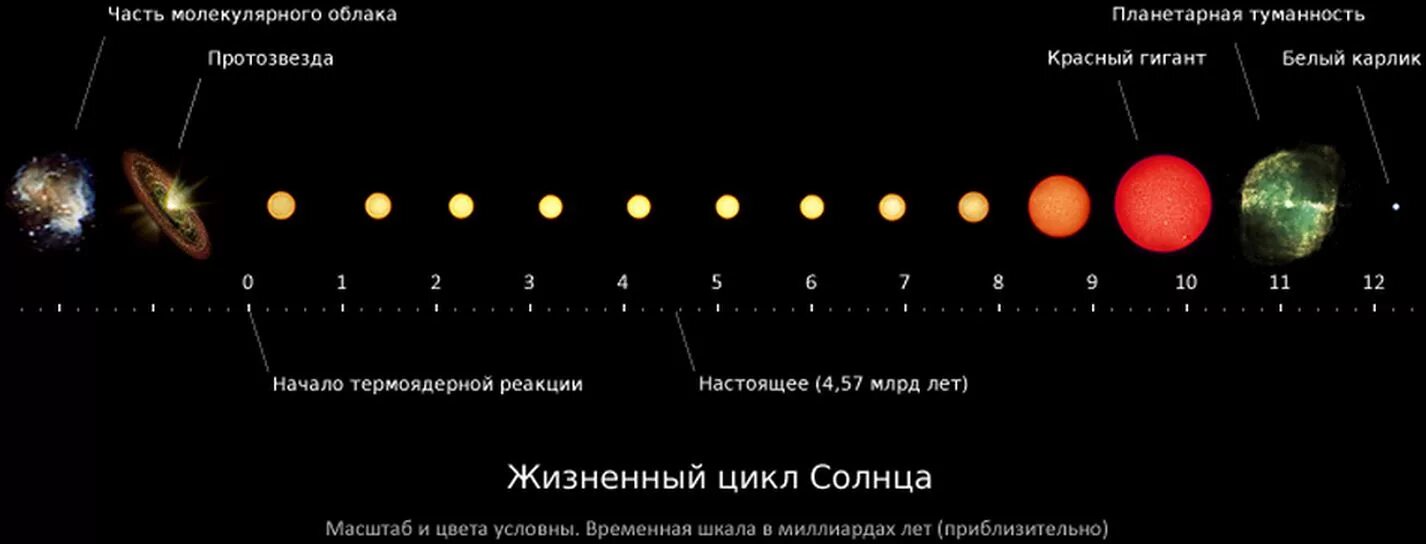 Сколько лет живут звезды. Жизненный цикл звезды солнца. жизненный цикл солнца схема. жизненный цикл звезд, подобных солнцу, выглядит так:. фазы жизни солнца.