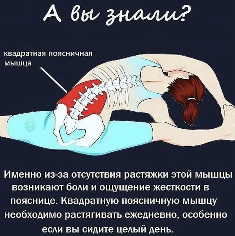 Упражнения для растяжки позвоночника. Растягивание квадратной мышцы поясницы. Растяжка подвздошно-поясничной мышцы. Растянуть квадратную мышцу поясницы.