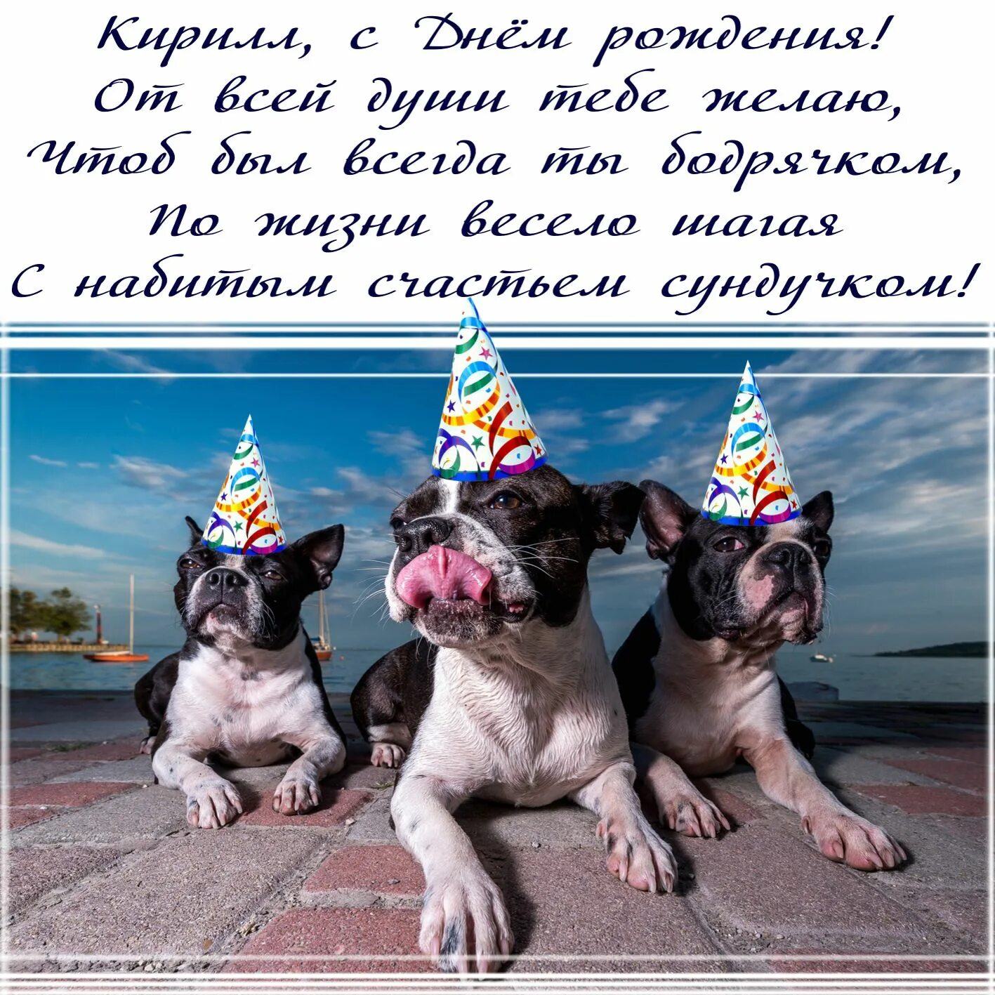 Поздравление с днем рождения ванечке. Поздравление собаке. Смешные открытки с днем рождения. С днём рождения ЯКИРИЛЛ. Поздравления с днём рождения с собаками.