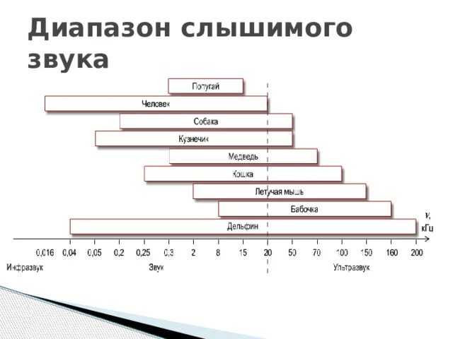 В каком звуковом диапазоне слышит человек. Диапазон звука. Слышимый диапазон звука. Диапазон звуковых частот. Звук частотный диапазон слышимых человеком звуков.