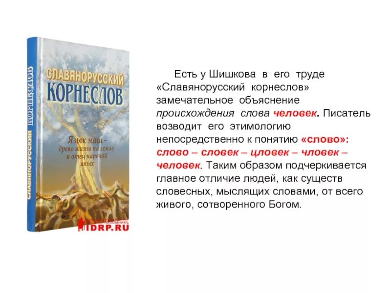 Славянорусский корнеслов Шишков. Шишков словарь. Словарь Шишкова. Шишков рассказы читать