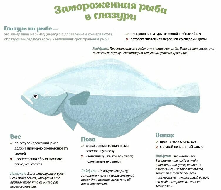 Схема разморозки рыбы. Как выбрать замороженную рыбу. Признаки свежей рыбы. Как правильно выбирать рыбу.