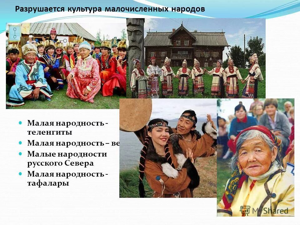 Исчезающие народы россии. Коренные народы ленинградской области вепсы. Коренные народы россии энцы. Сообщение о малочисленном народе. Малочисленные народы россии.