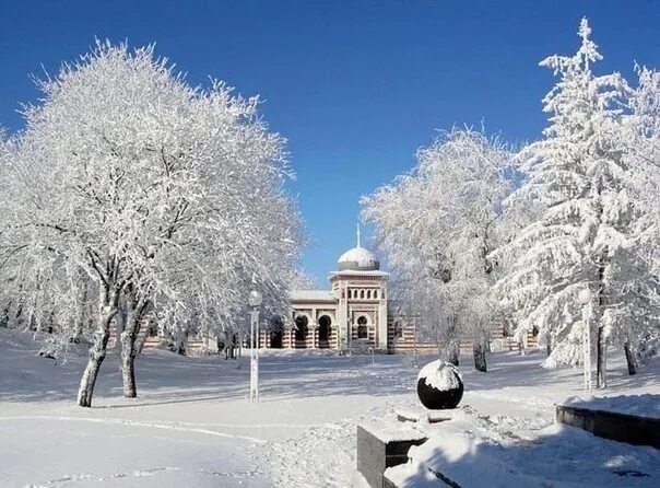 Железноводск зима. Железноводск зимний парк. Город Железноводск зимой. Кисловодск парк зимой. Минеральные воды декабрь