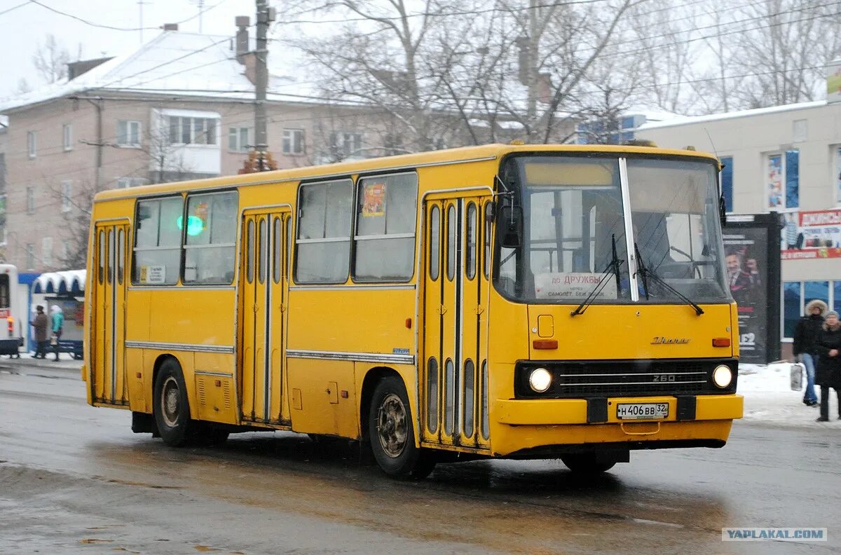 Отечественные автобусы. Икарус 260.50. Икарус 260. Икарус 260.40. Икарус 260 02.