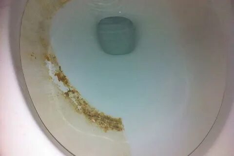 Очистить застарелый камень в унитазе