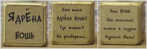 Ядрена вошь