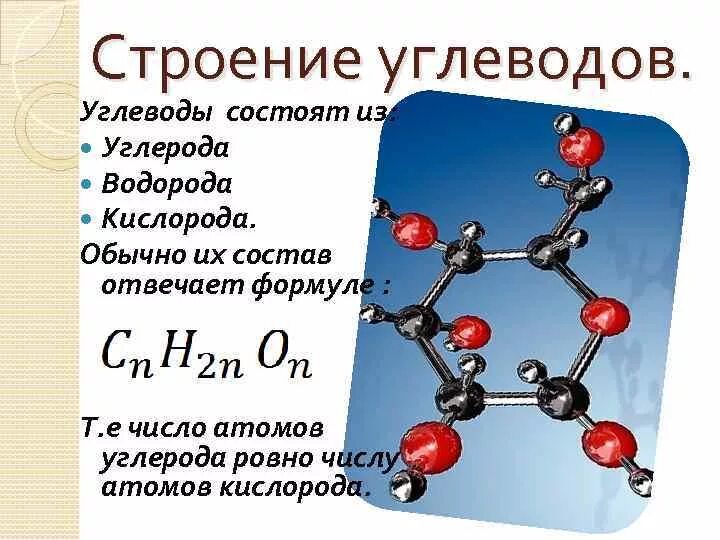 Мономеры органических молекул. Химическое строение углеводов. Углеводы химия структура. Углеводы строение молекулы. Структура молекулы углевода.