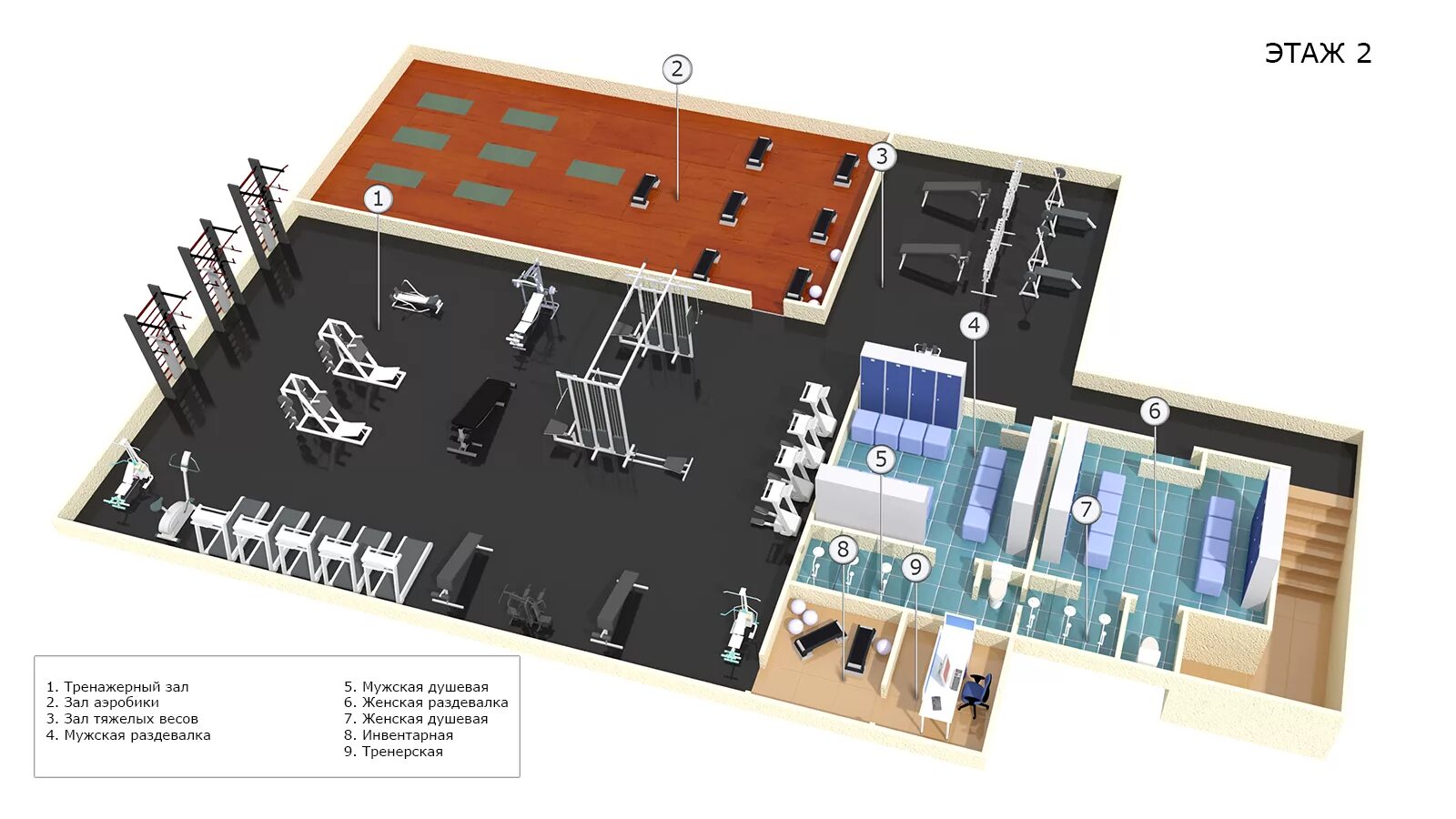 План спортивного клуба. Планировка фитнес зала чертеж. Типовой проект тренажерного зала. Тренажерный зал планировка чертеж. Планировка душевых и раздевалок в тренажерном зале.
