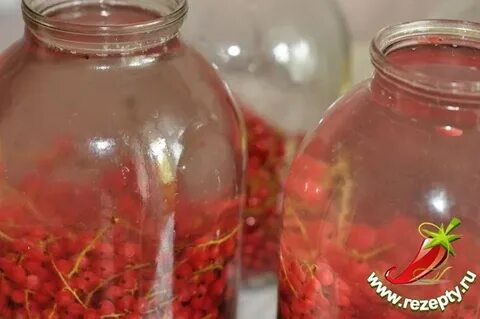 Можно ли компот заливать один раз кипятком