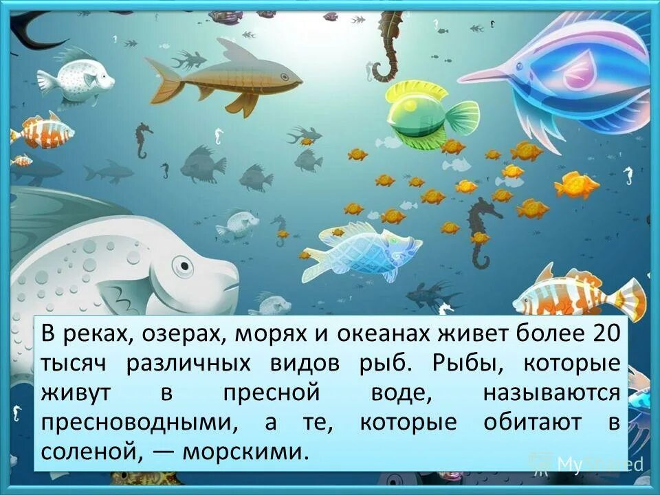 Рыбы которые живут в соленой воде. Рыбы обитающие в соленой воде. Рыбы которые обитают и в соленой и в пресной воде. Назови рыбы которые обитают в соленой воде. Рыба живи живи текст