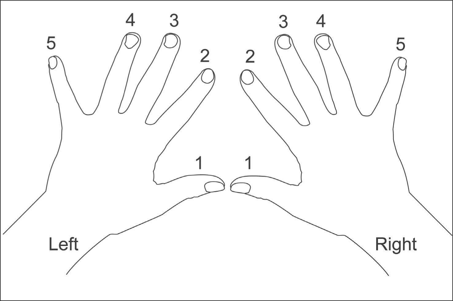 Пальцы на синтезаторе. Легкая игра на пианино для начинающих. Пальцы на синтезаторе. Как научиться играть в пальцы. Расположение пальцев при игре на фортепиано.