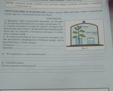 Какую задачу ставил