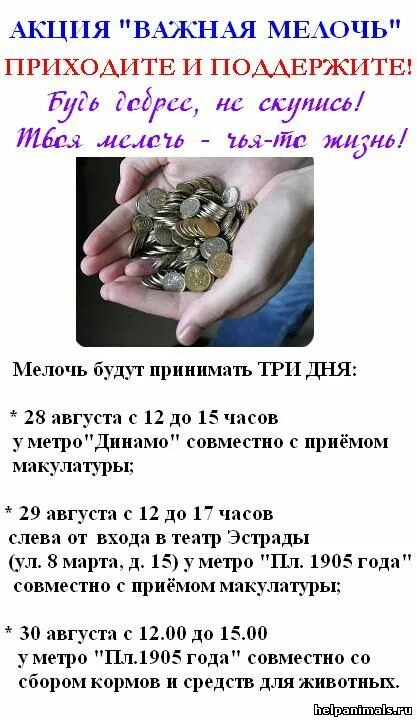 Картинки для интернет магазина 1000 мелочей. Высказывания про мелочи в жизни. Какие мелочи делают жизнь лучше. Важны ли мелочи. Высказывания про мелочи и детали.